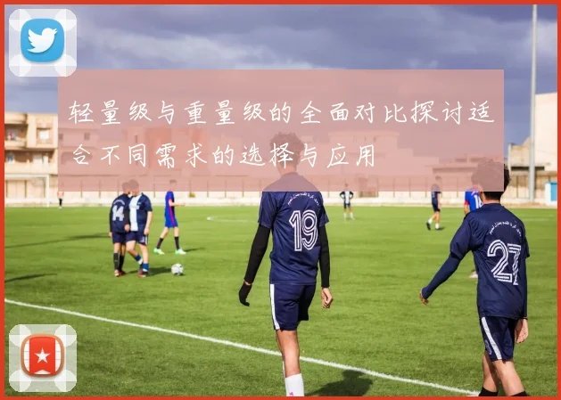 轻量级与重量级的全面对比探讨适合不同需求的选择与应用