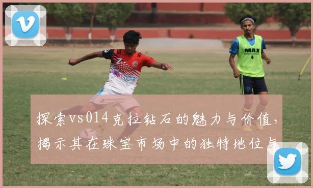 探索vs014克拉钻石的魅力与价值，揭示其在珠宝市场中的独特地位与意义