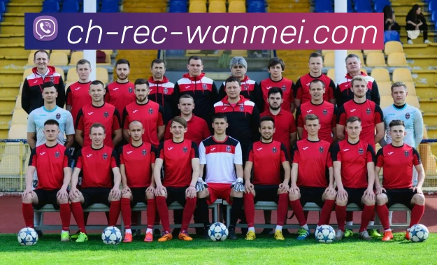 完美体育APP 封面图